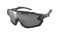 Alpland Schneebrille Bergbrille Sonnenbrille Skibrille  polarisiert + Cat 4