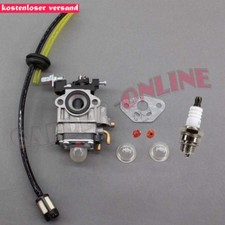 Vergaser & Schlauch für AL-KO