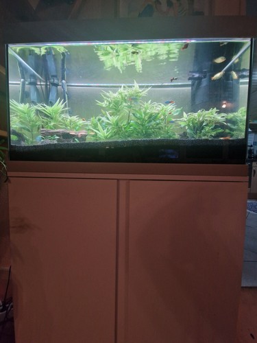 Aquarium 120 komplettset - aquarium,
