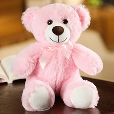 Teddybär Teddy Bear Gift