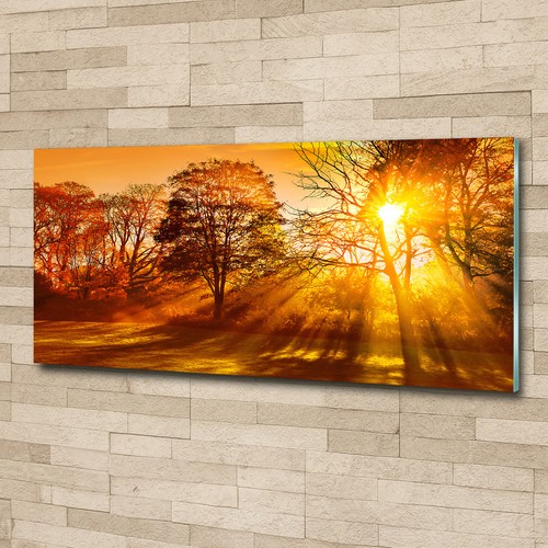 Glas bild wandbilder druck auf - glas-bild,