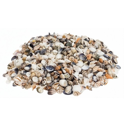 Muschelmix small 1kg - muschelmix,