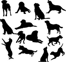 14 Labrador Pack Drache Vinyl