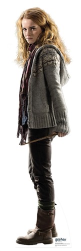 Harry potter hermione - harry,