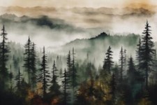 Wandbild: Nebeliger Wald in