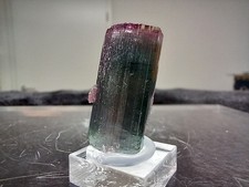 blauer Turmalin - Pederneira-Mine - Minas Gerais - Brasilien