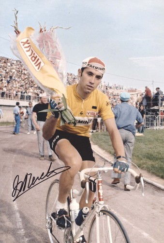 Eddy merckx original - eddy,