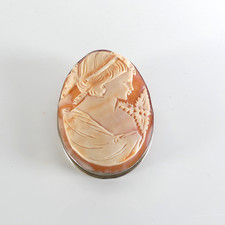 wunderbare handgeschn. Muschel