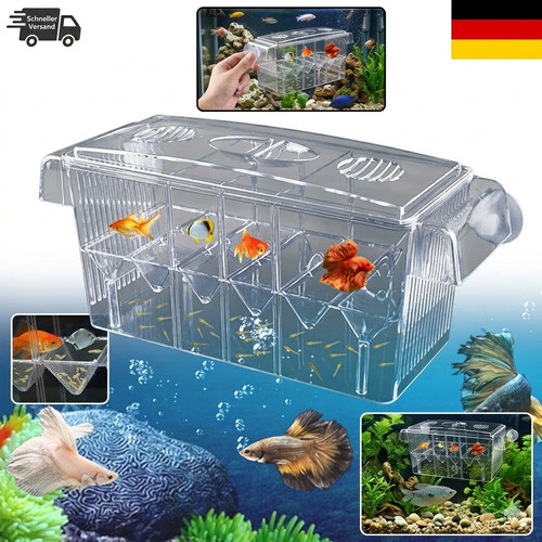 Cspone ablaichkasten aquarium - cspone,