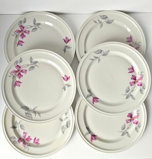 6 x Rosenthal Speiseteller