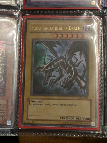 Rotäugiger blauer drache - rotäugiger,