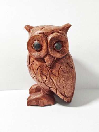 Schöne kleine eule - -, owl