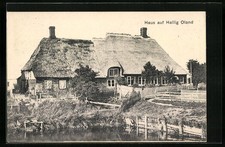Hallig Oland, Hausansicht, Ansichtskarte 1909 
