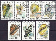 kompletter Satz Meeresschnecken Muscheln Shellfish coquilles ракушки conchas 17