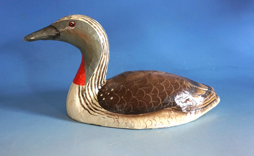 Lockente lockvogel ente - lockente, duck