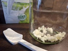 Kefir Milchkefir 15g