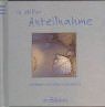 Stiller anteilnahme - in,
