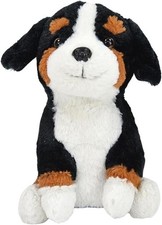 Berner-Sennenhund - Labertier-