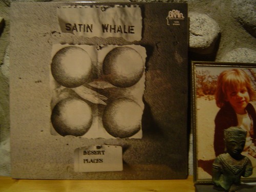 Satin whale desert - whale, places