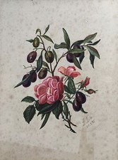 Aquarell Stillleben mit Rosen