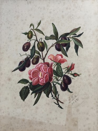 Aquarell stillleben mit - aquarell, rosen