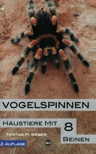 Vogelspinnen haustiere mit - vogelspinnen:,