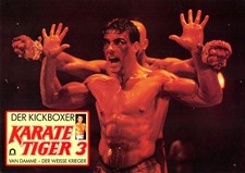 Karate Tiger 3 - Der Kickboxer