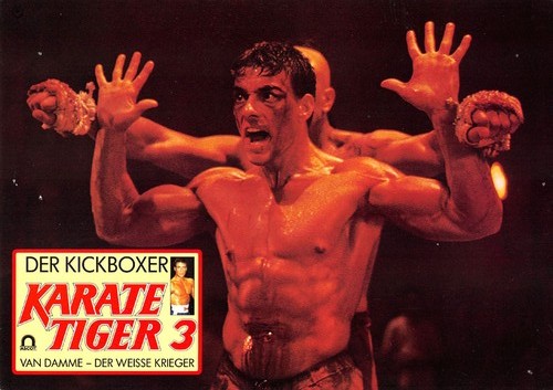 Karate tiger der kickboxer - -,