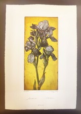 Retzlaff farblithografie - m.,