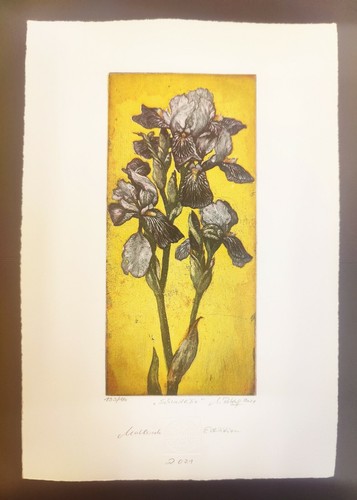Retzlaff farblithografie - m.,