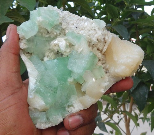 Grüner apophyllit auf stilbit - grüner,