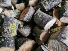 Apfel Mirabelle Pflaume Mix