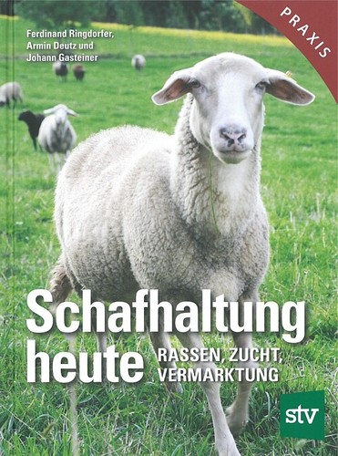 Ringdorfer schafhaltung heute - schafhaltung,