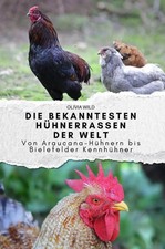 Die bekanntesten Hühnerrassen