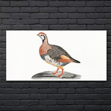 Zeichnung tier vogel - vogel, kunst