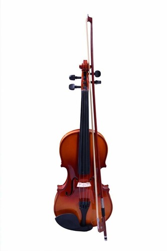 Full size violine - 4/4,