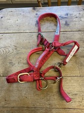 Monty Roberts doppeltes