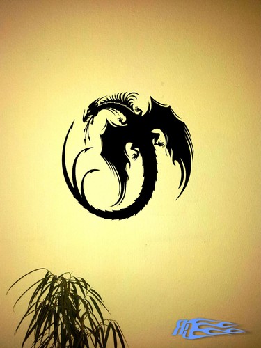 Wandtattoo drache oracal - wandtattoo,