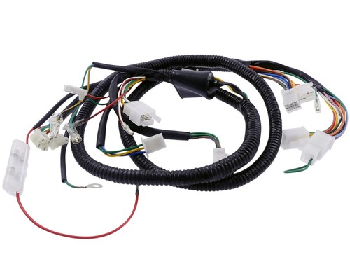 Hauptkabelbaum 12v für jinlun - hauptkabelbaum,
