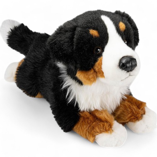 Carl dick berner sennenhund - carl,