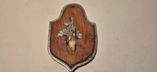 Keilerwaffen keilerzähne auf - keilerzähne,