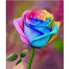 DIY Malen nach Zahlen Leinwand