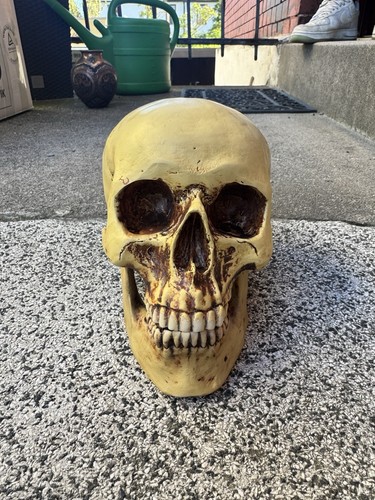 Markus mayer totenkopf - markus,