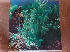 Aquarium Hintergrundbild  Pflanzen Juwel Deko