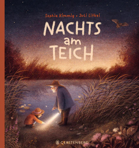 Nachts teich - nachts, am