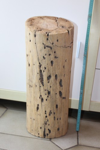Dicker treibholz stock - #dicker, /