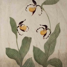 Frabholzschnitt Hans Ott