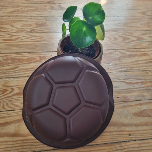 Tupperware silikon backform - tupperware, silikon-backform