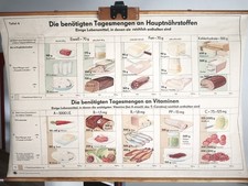 Vintage Schulwandkarte ⭐️