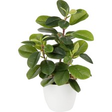 Kunstpflanze Kamelie